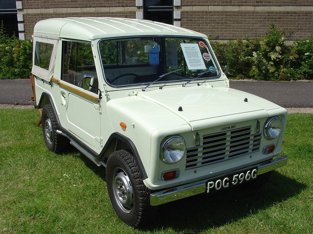 Austin Ant Austin Ant