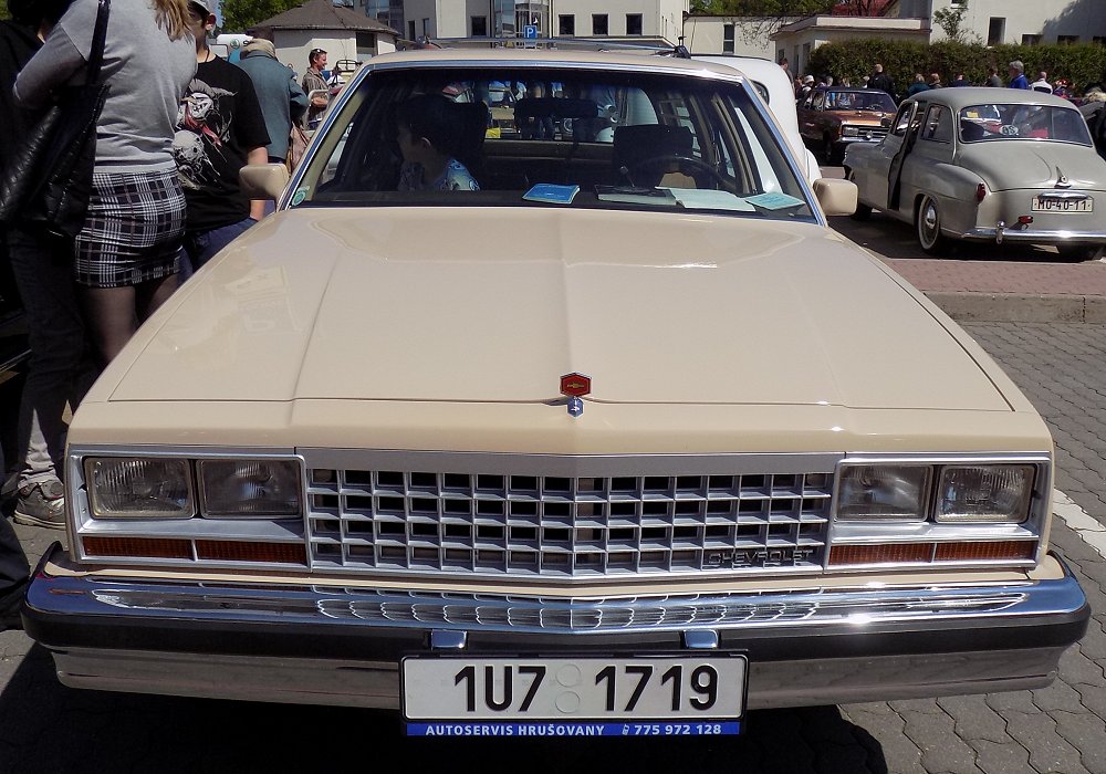 Chevrolet Malibu Classic Station Wagon 4.4